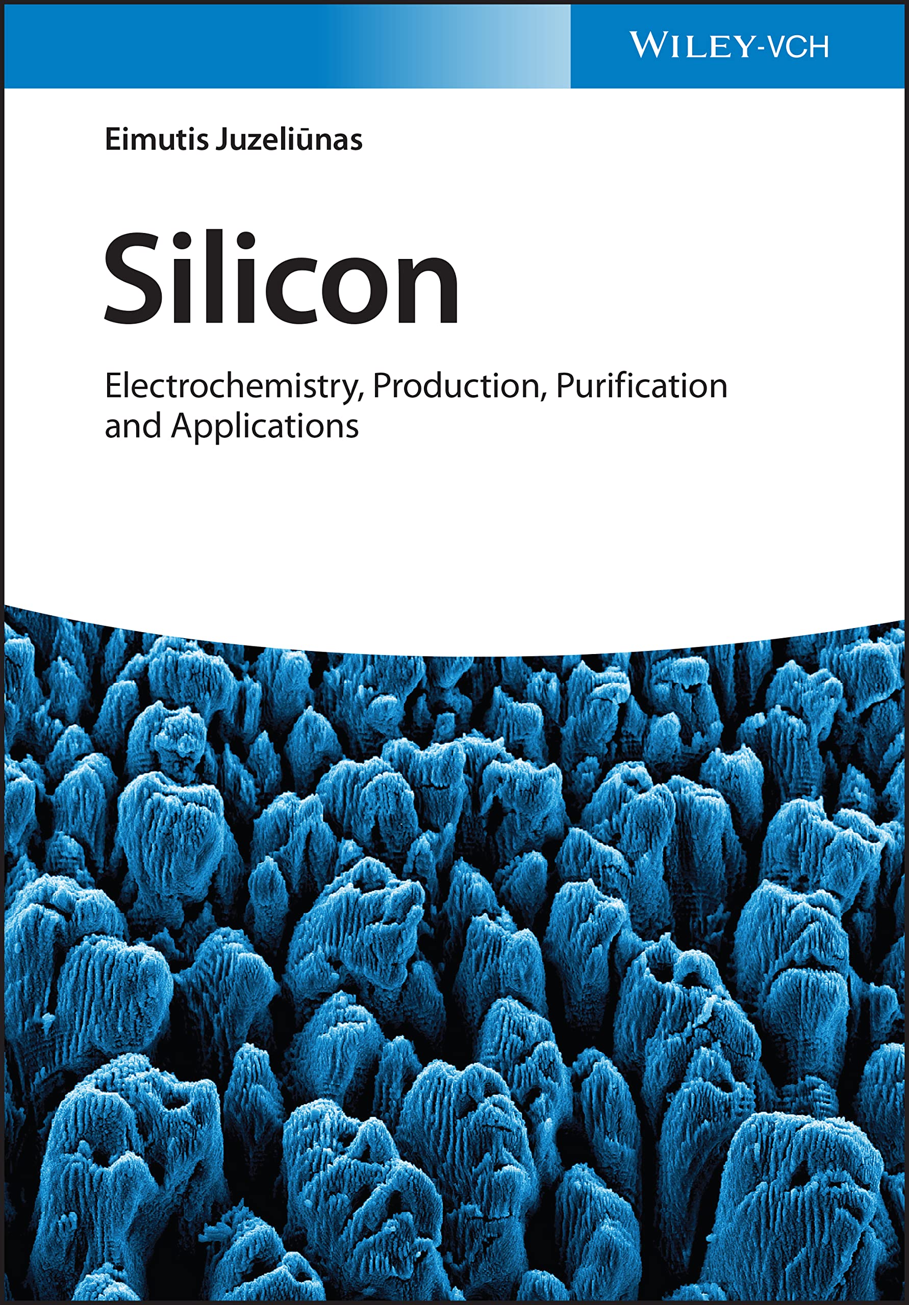 Buy Silicon: Electrochemistry, Production, Purification and Applications — BookShops.in