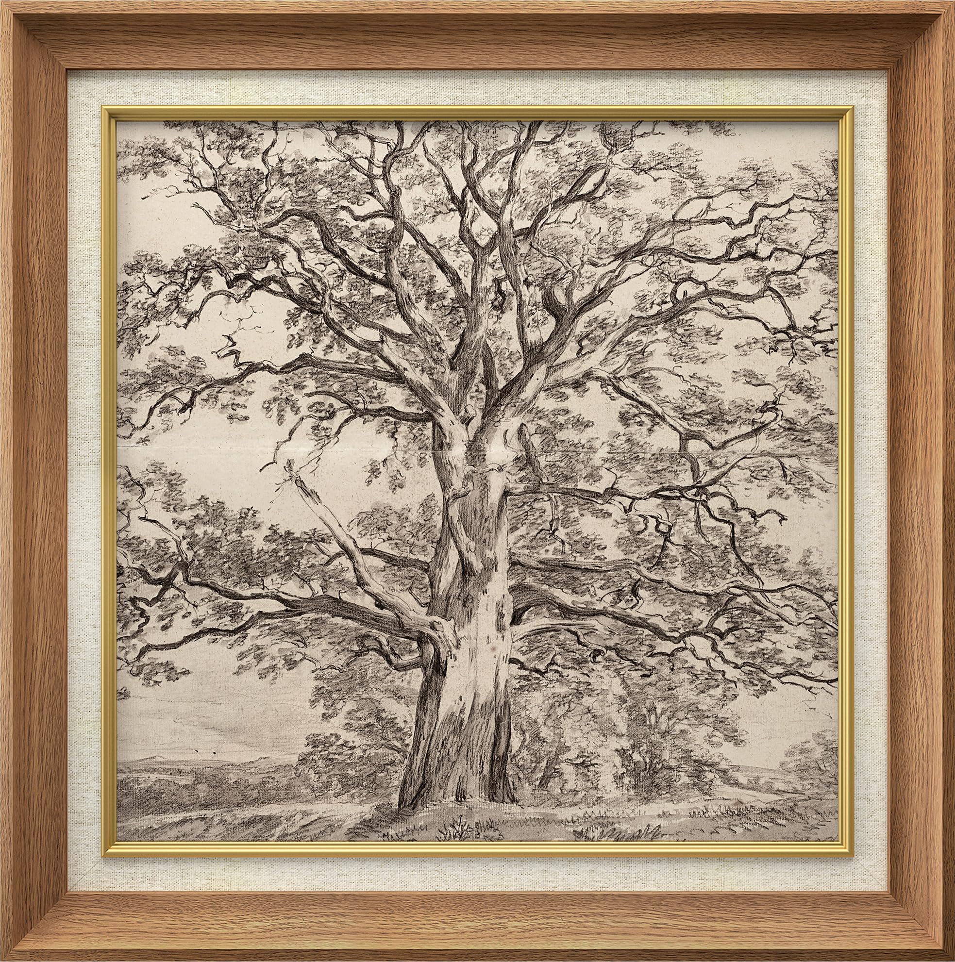 Amazon.com: MUDECOR Premium Framed Wall Art Forest Tree Sketches
