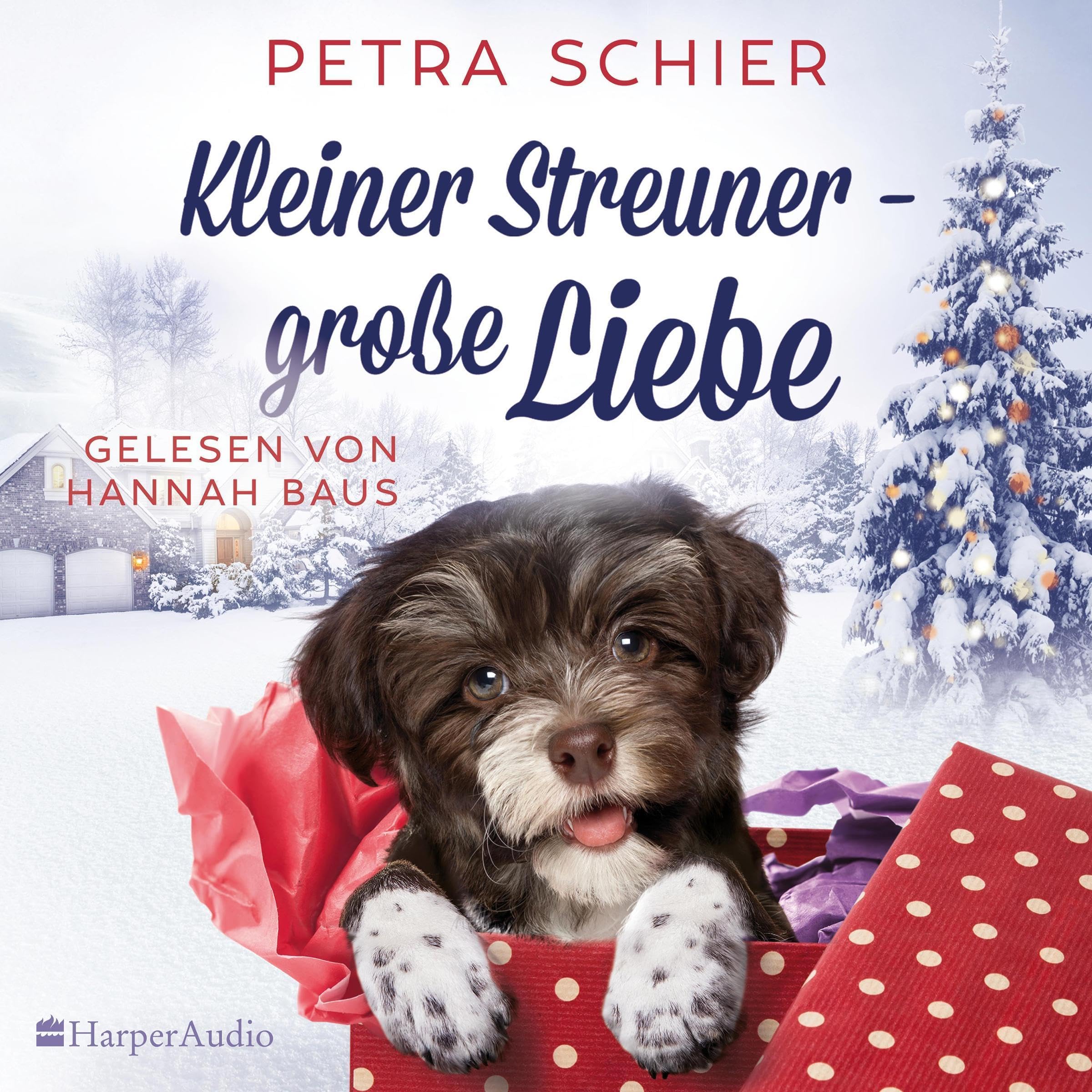 Cover art for Kleiner Streuner - große Liebe