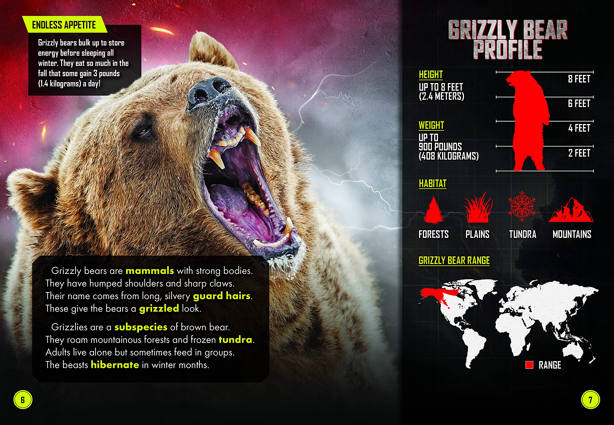 Grizzly Bear vs. Wolf Pack