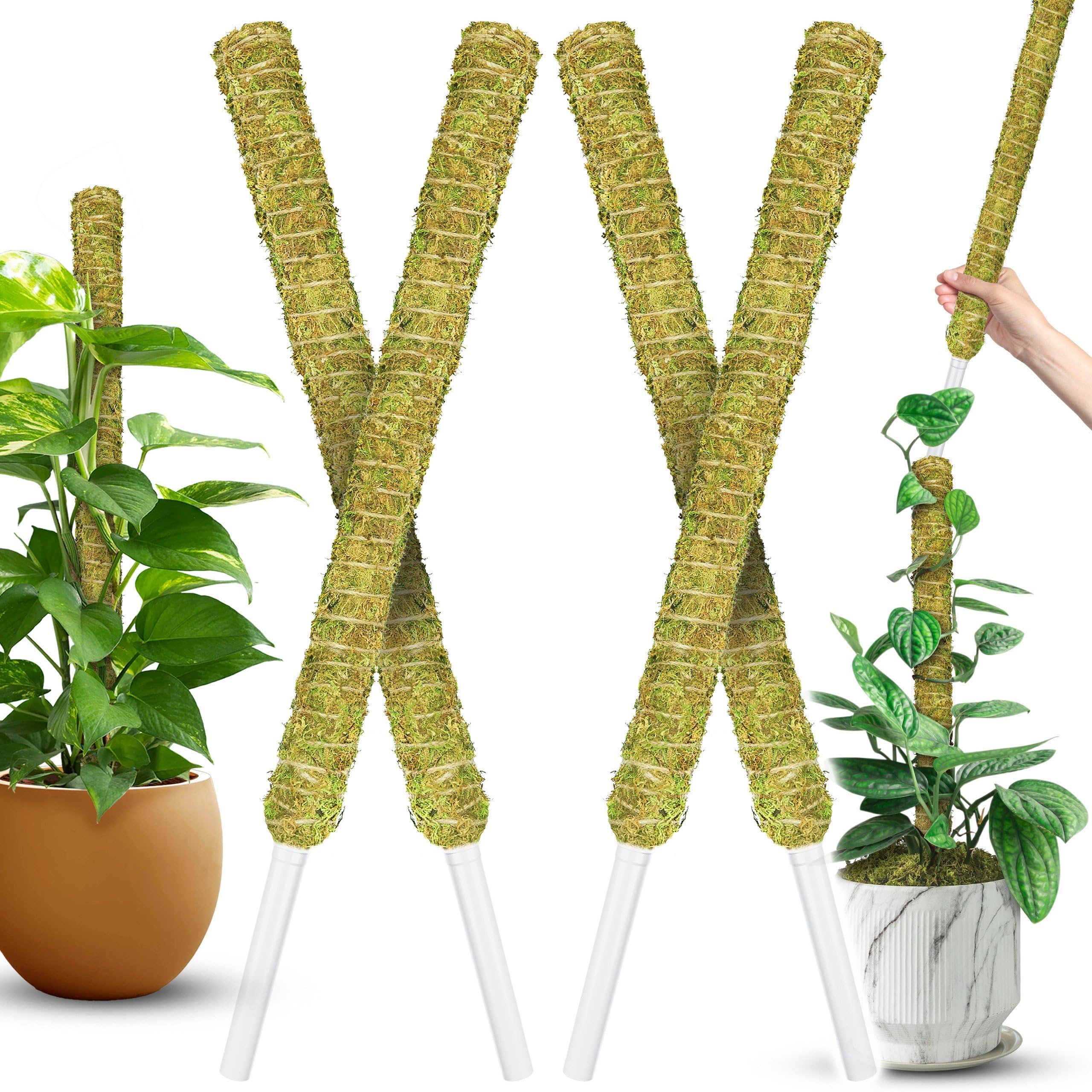 DUSPRO Natural Stackable Moss Pole for Plants Monstera Potted Plant Stakes for Indoor Plants Extendable Plant Pole Moss Sticks for Plants Climbing Vine Supporting Monstera Trellis 4pcs 22''