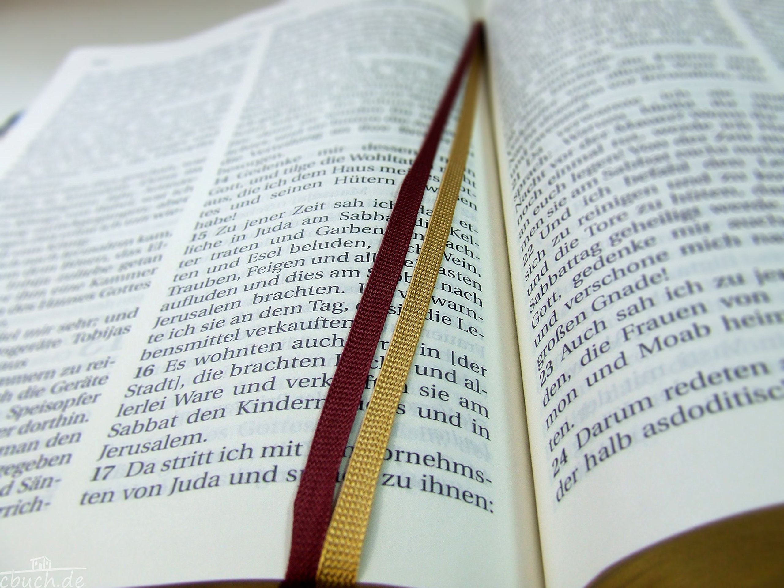 Schlachter 2000 Bibel - Großdruckausgabe (Softcover, schwarz, Goldschnitt): Großdruckausgabe, Rindleder-Einband (flexibel), Goldschnitt, Fadenheftung / ohne Parallelstellen