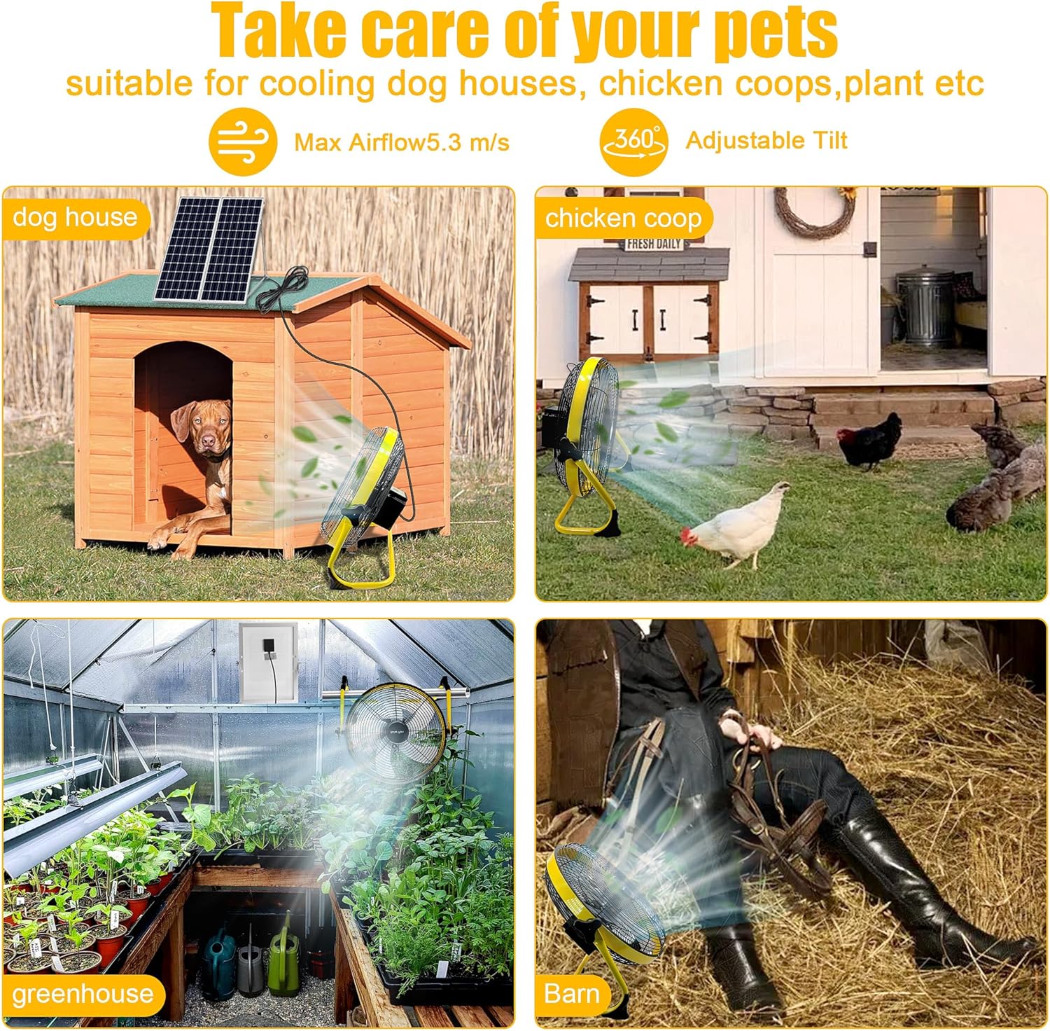 Solar Fan for Pet Comfort and More