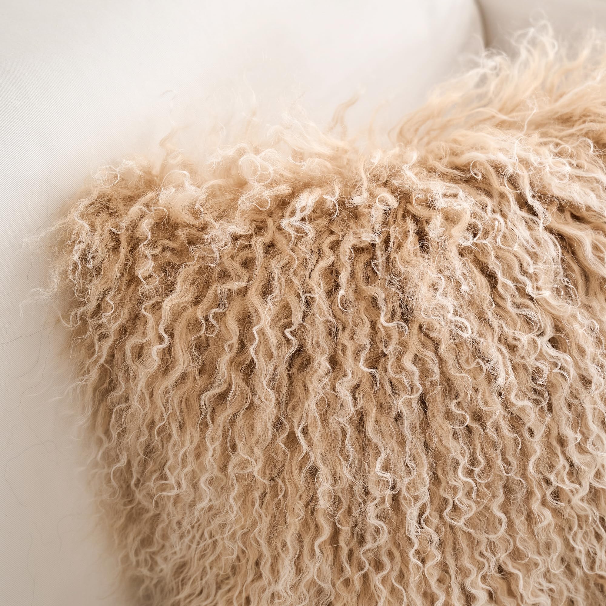Coussins 30cm x 50cm en Véritable Fourrure d'agneau Tibétain-Mongol - Rembourrage Polyester Haut de Gamme - Décoration Luxe, Hypoallergénique, Lavable - pour Salon, Chambre ou Bureau (Beige Poudré)