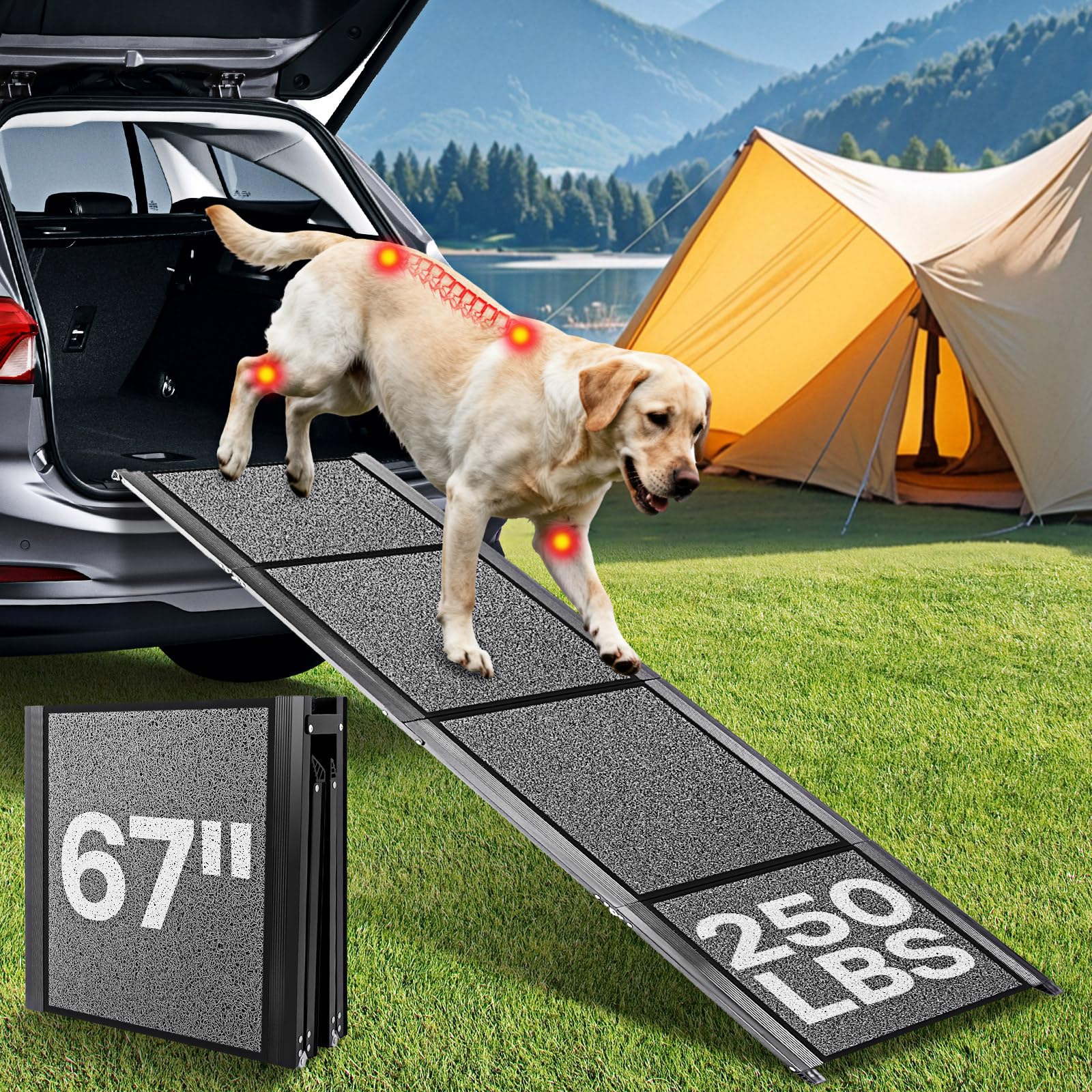 Lightweight Aluminum Dog Ramp