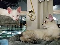 Review Image by margaret moore margaret moore