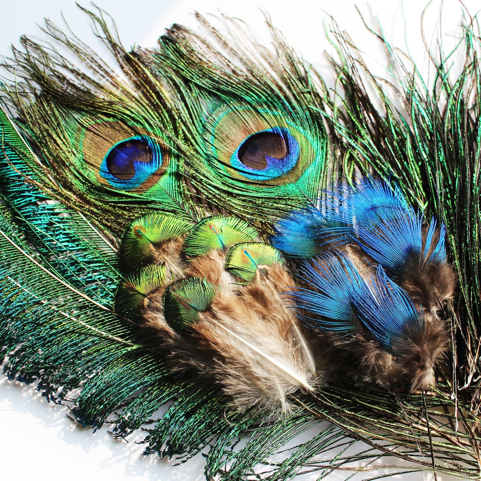 Tigofly Ensemble de plumes de paon pour nymphes mouches, mouches humides classiques