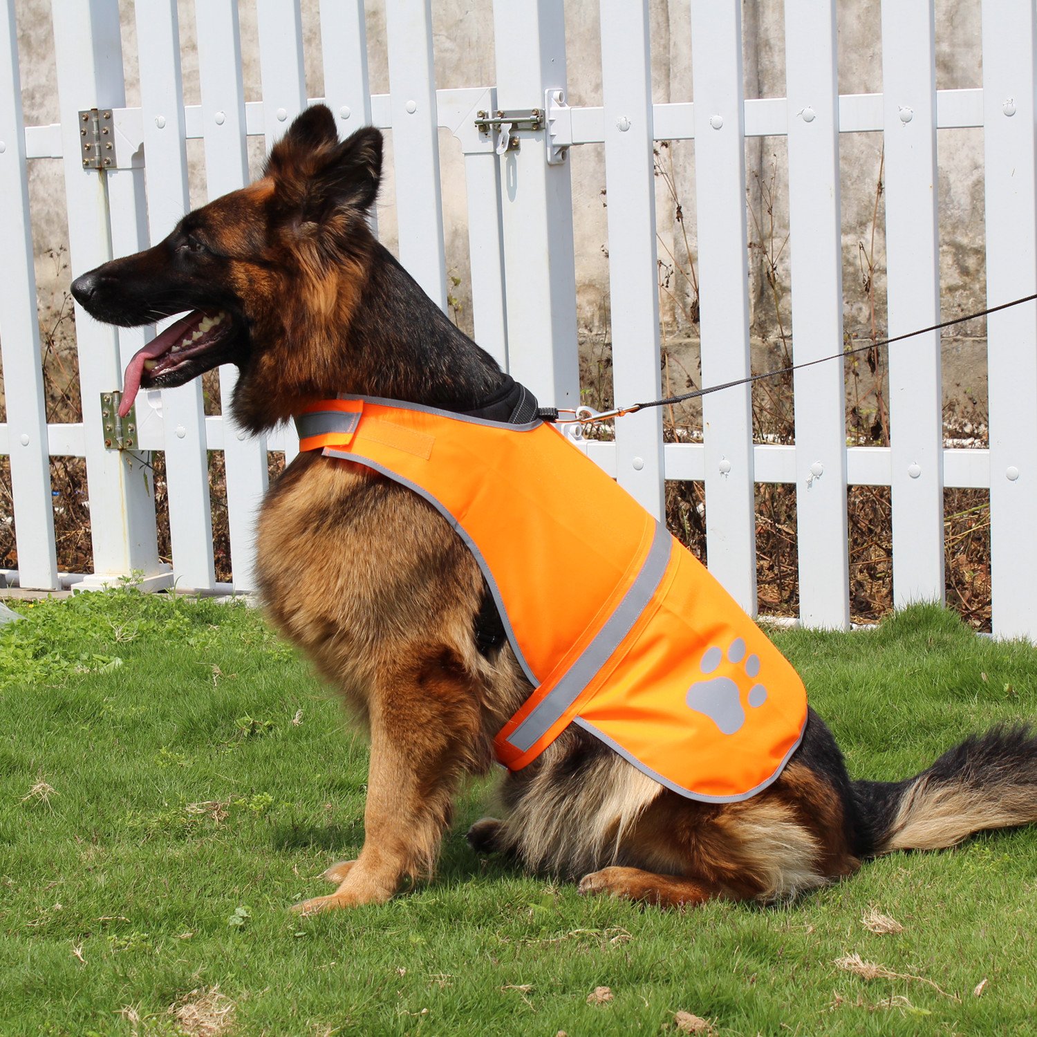 Chaleco Reflectante de Seguridad para Perro, Alta Visibilidad para Caminar, Correr, Senderismo para Mantener a los Perros visibles y Seguros de los Coches y Accidentes de Caza