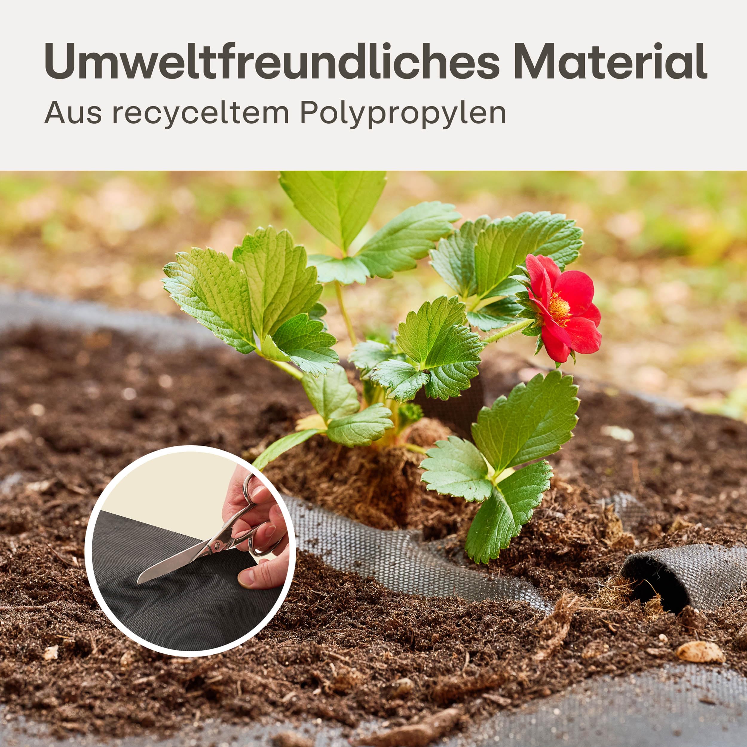 Praknu Unkrautvlies 100g/m² mit 12 Erdankern - 𝗘𝘅𝘁𝗿𝗮 𝗦𝘁𝗮𝗿𝗸 & UV-Stabil - 25m² Reißfeste & Wasserdurchlässige Unkrautfolie - Ideal für Garten, Hochbeete & Terrassen