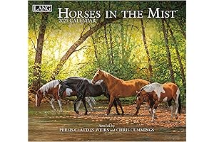 LANG Horses In The Mist 2025 Wall Calendar