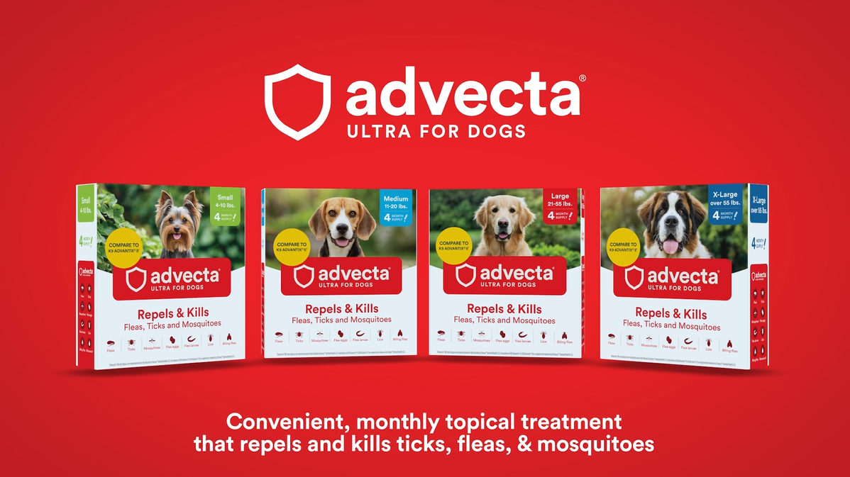 Watch How to Apply Advect Ultra for Dogs on Amazon Live