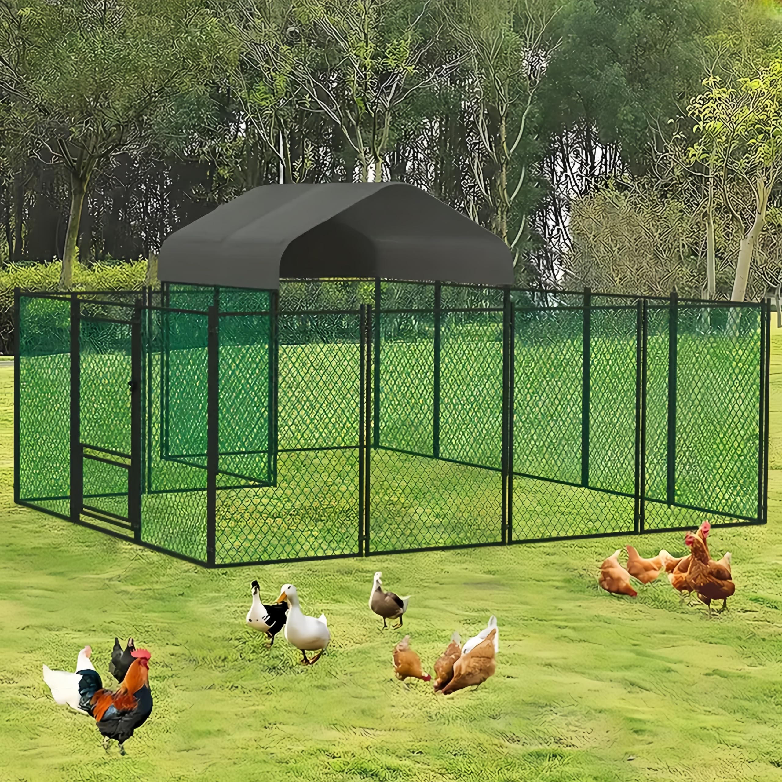 BingoPaw Poulailler Grand Enclos Extérieur, Parc à Poules Grillagé 10 m² - Cage à Poule Grillagé Grande Taille Cadre en Acier Galvanisé avec Bâche