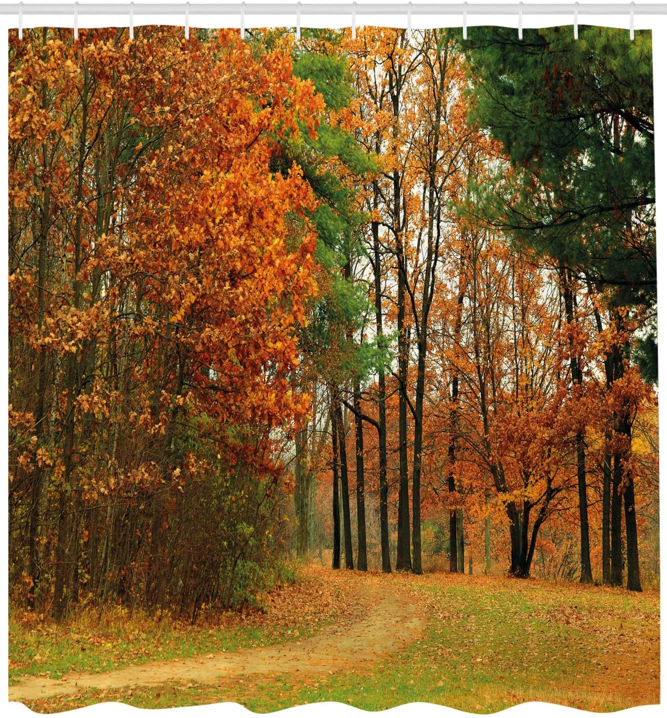 Ambesonne Fall Shower Curtain, Cloudy Overcast Day in September Shrubs Pines Sidewalk in The Park Forest, Cloth Fabric Bathroom Decor Set with Hooks, 69" W x 75" L, Orange Green
