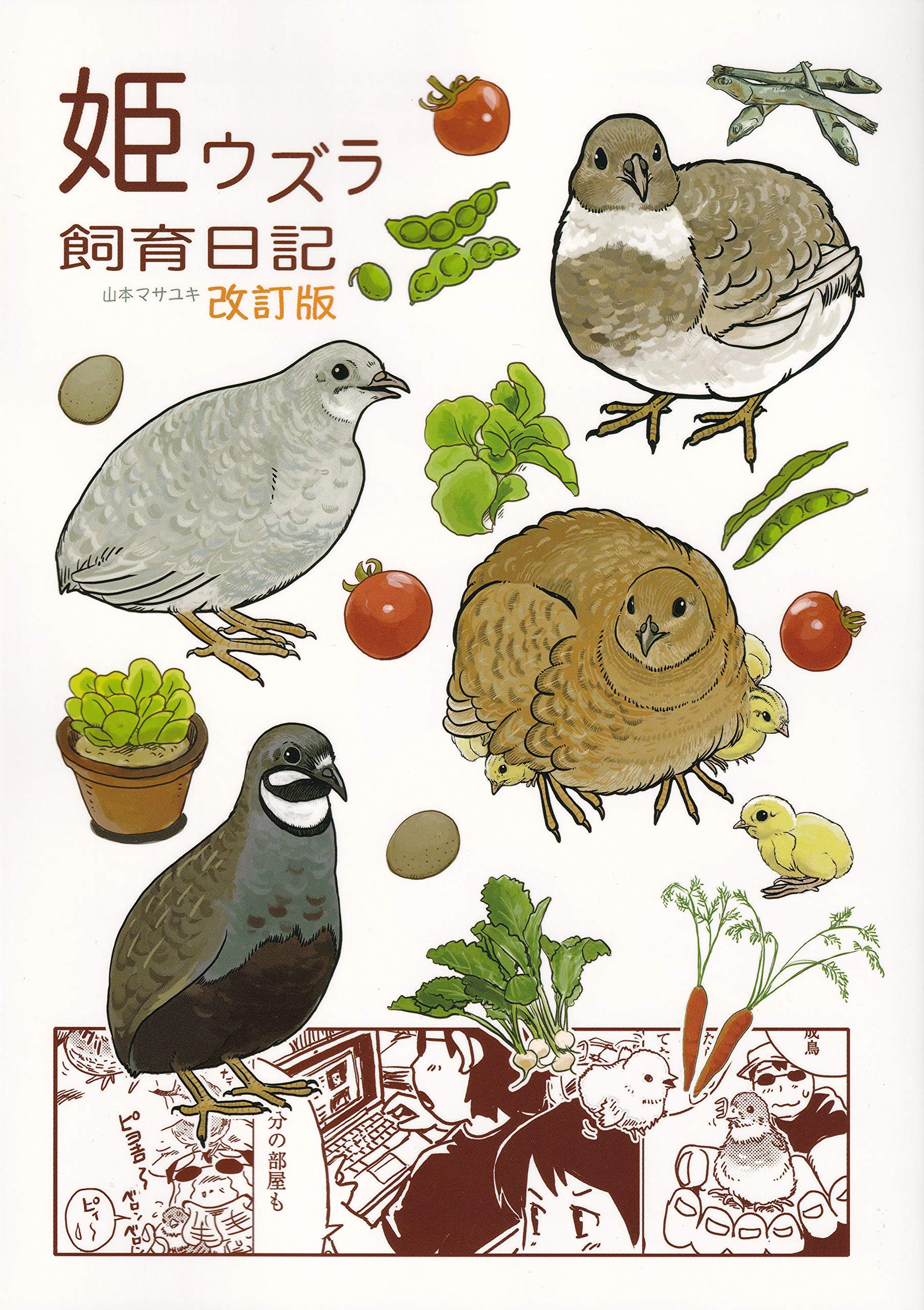 姫うずら飼育日記 山本マサユキ 本 通販 Amazon