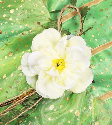 Miniatura 8 de TYHTYM Deluxe Princess Costumes Little Girls Dress Kids Fancy Gown Cosplay Halloween Party