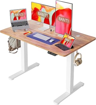 BANTI 40 Electric Height Adjustable Standing Desk,Sit Stand up Desk,Ergonomic Sit-Stand Desk for Home Office,Light Rustic Top