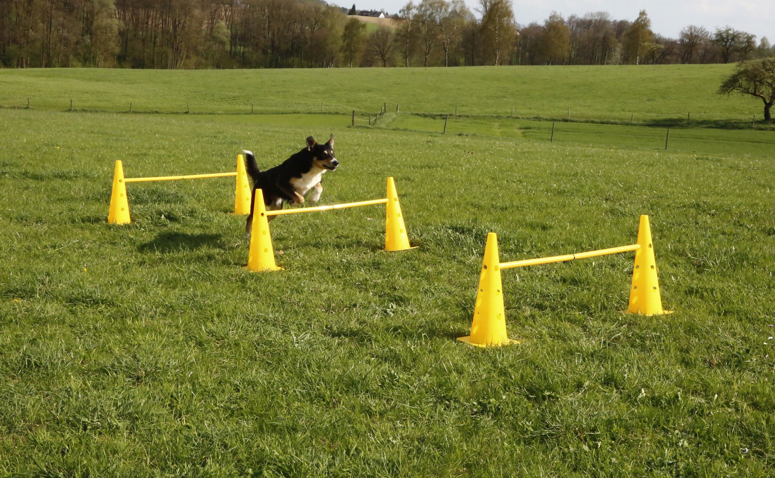 KERBL 81994 Agility Lot Cônes/Barres d'Obstacle pour Chien