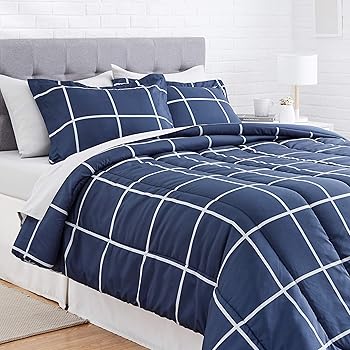 raina comforter set