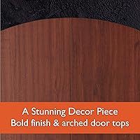 Vista 5 de Fat Cat Electronx Diana electrónica de punta suave con gabinete.