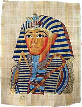 エジプト パピルス 91Lu4MagvSL._AC_UF350,