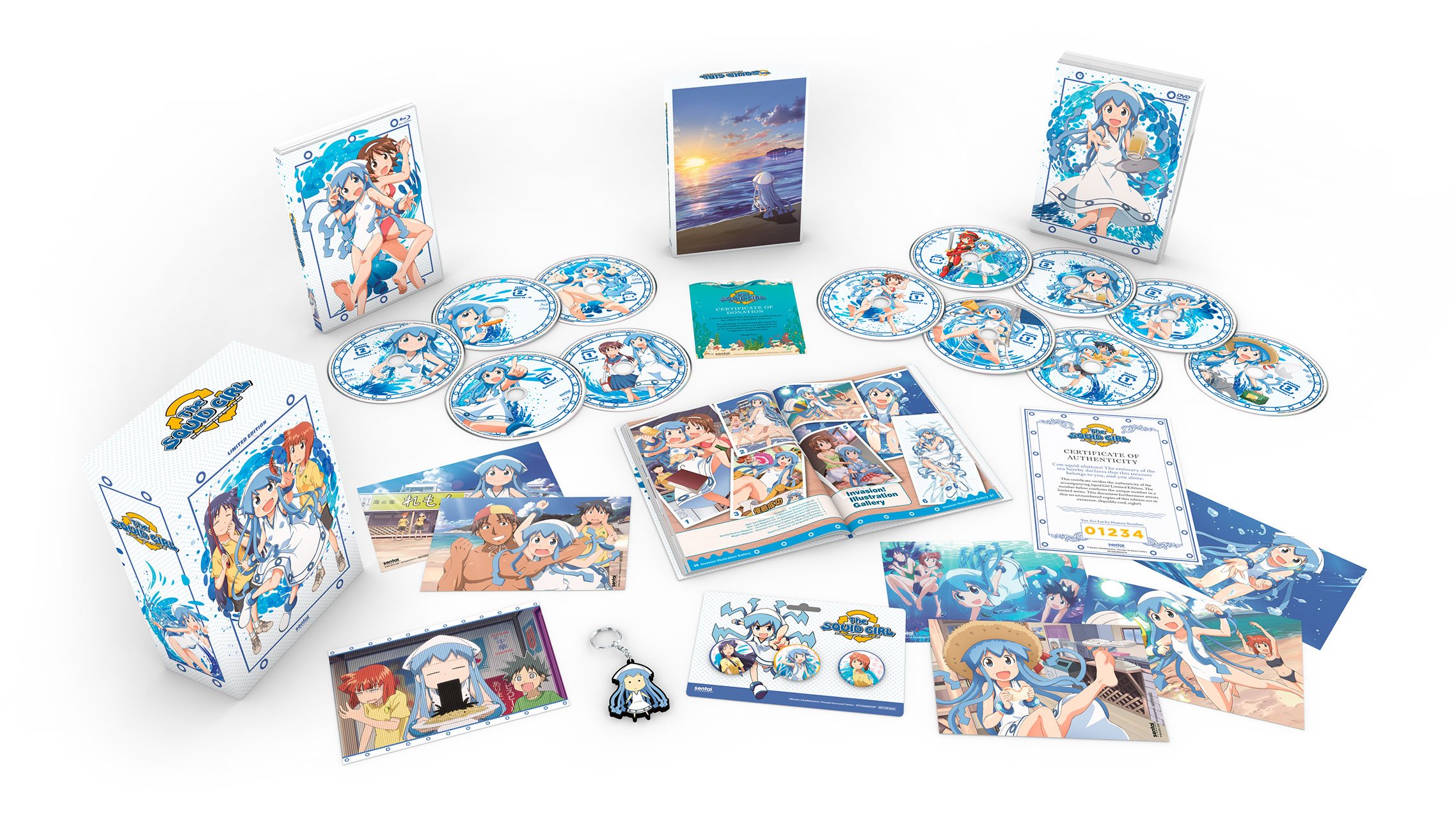 Amazon.co.jp: Squid Girl (Premium Box Set) [Blu-ray] : DVD 