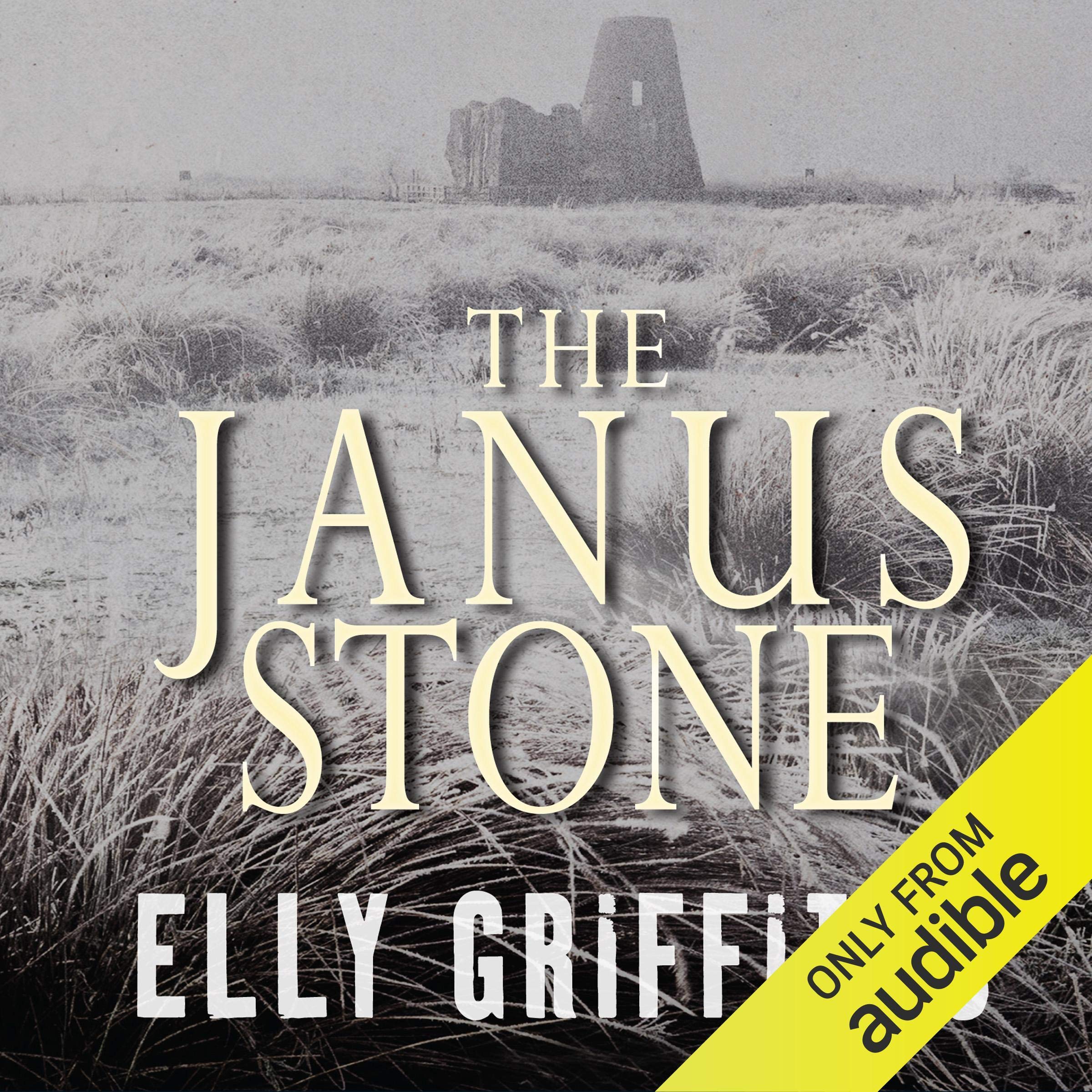 Cover art for The Janus Stone