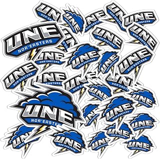 Desert Cactus University of New England Sticker UNE Nor'Easters Vinyl Decals Laptop Water Bottle Car Scrapbook T1 (Type 1-1)