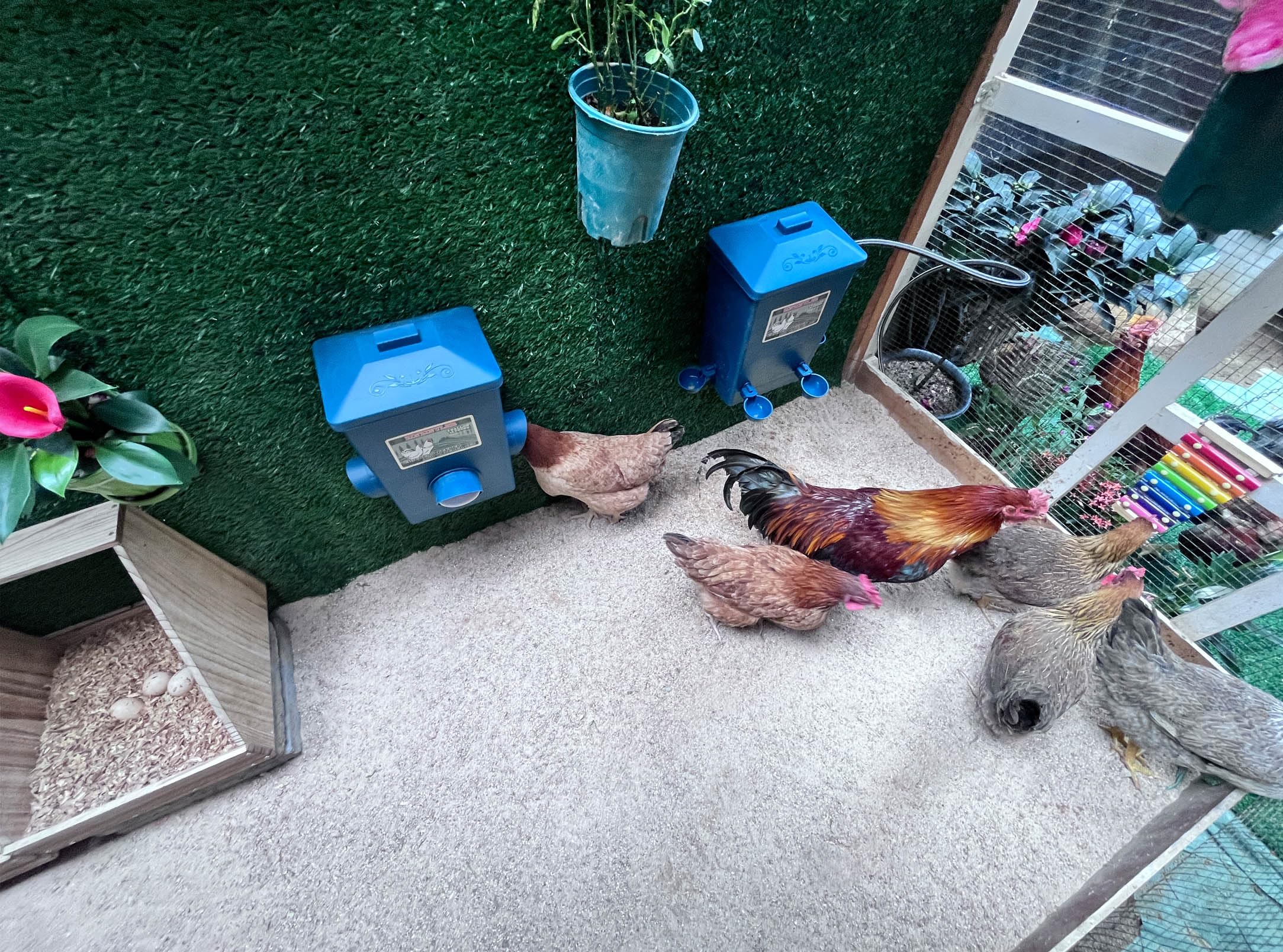 Comedero de pollo, bebedero de pollo con juego automático controlado por flotador (4 galones/28 libras), accesorios para gallineros (compatible con tuberías de agua de 5/8 pulgadas y 3/4 pulgadas