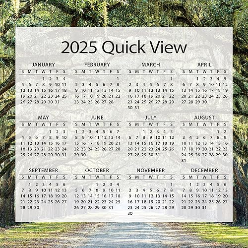 Miniatura 10 de TURNER PHOTOGRAPHIC Calendarios de caja de fotos con versículos bíblicos (24998052003)