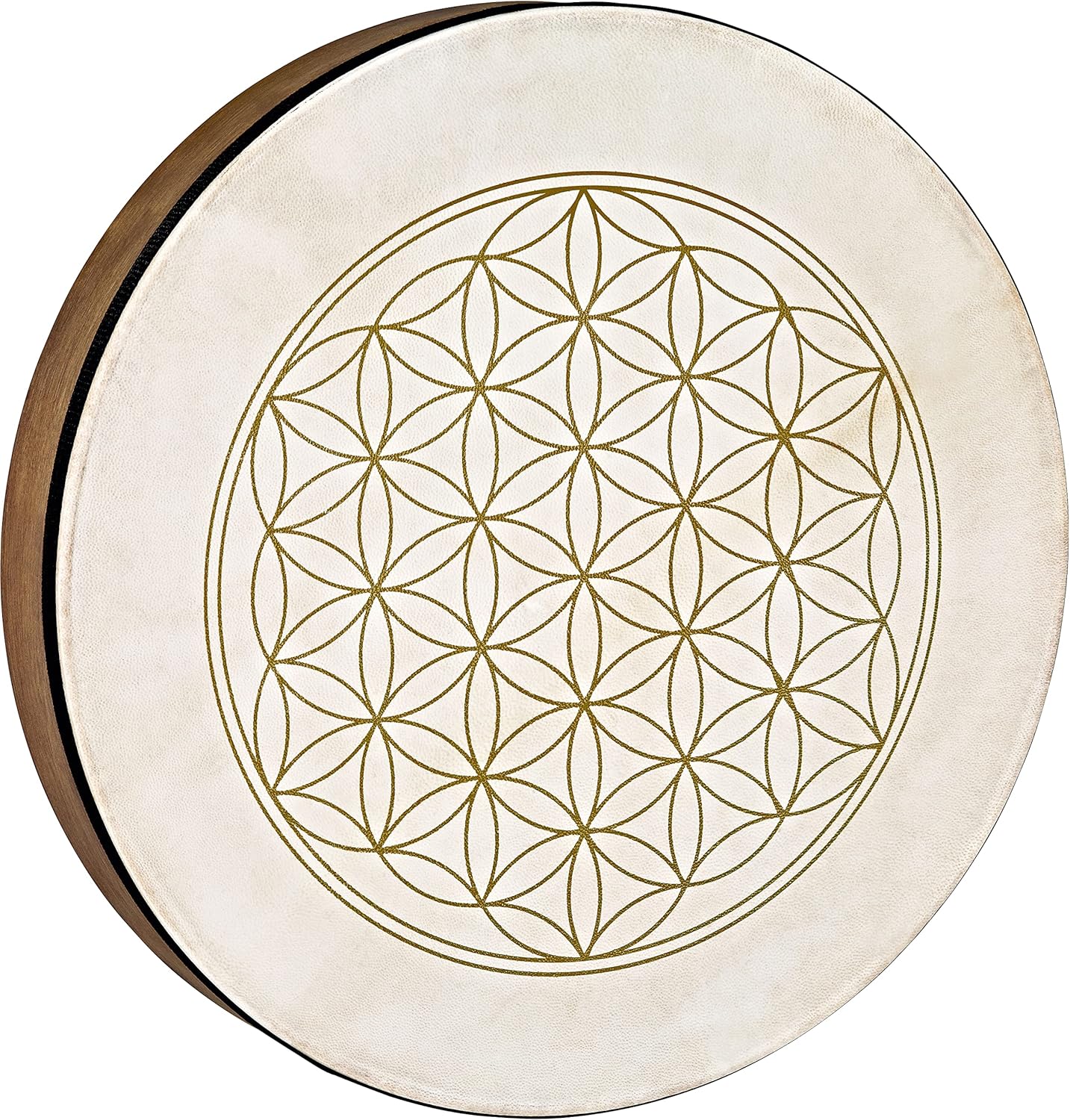 MEINL