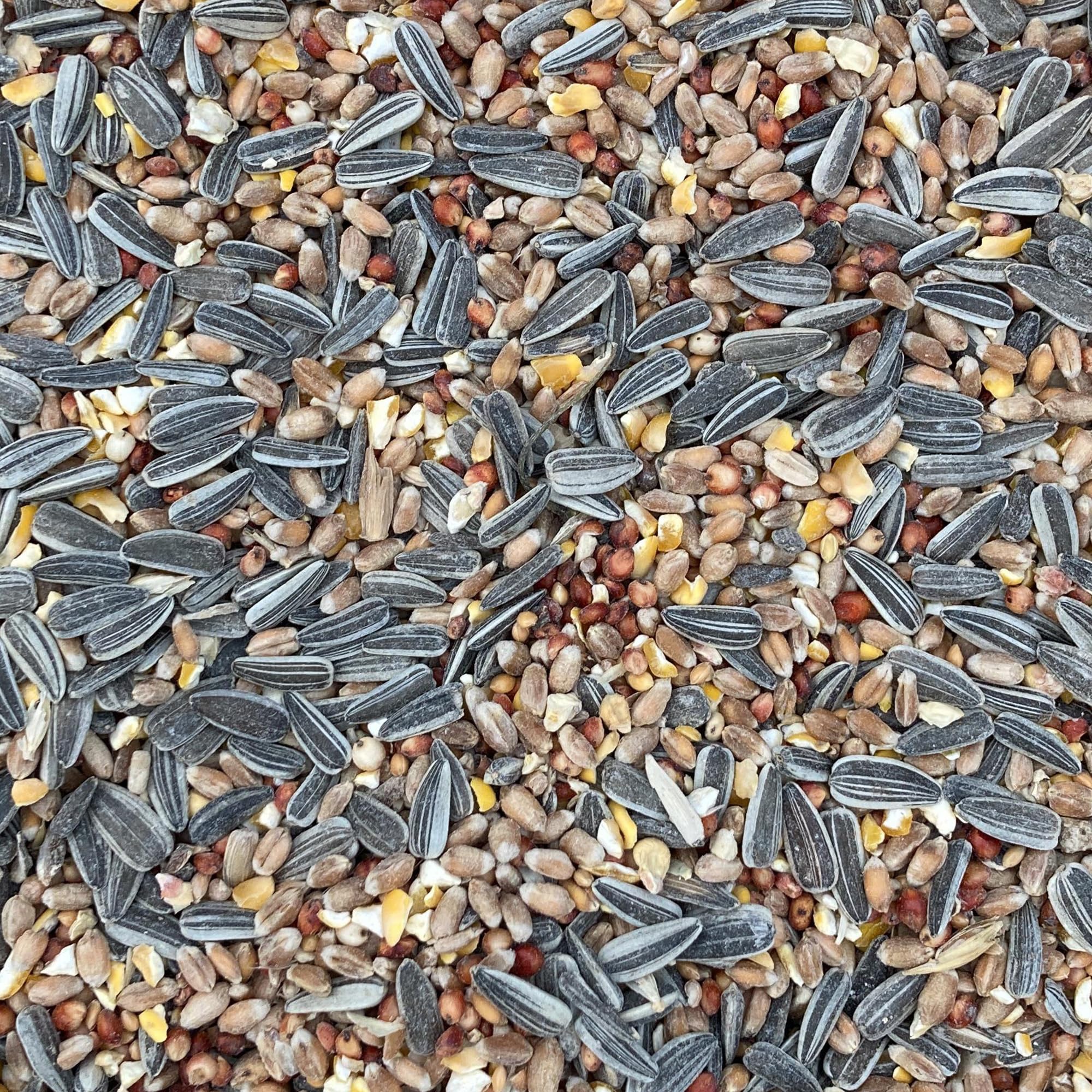BusyBeaks Mix di Semi Cibo per Uccelli Selvatici - Miscela Premium di Grano, Mais Sbriciolato, Sorgo, Semi di Girasole e Miglio - Ideale per l'Alimentazione in Tutte le Stagioni