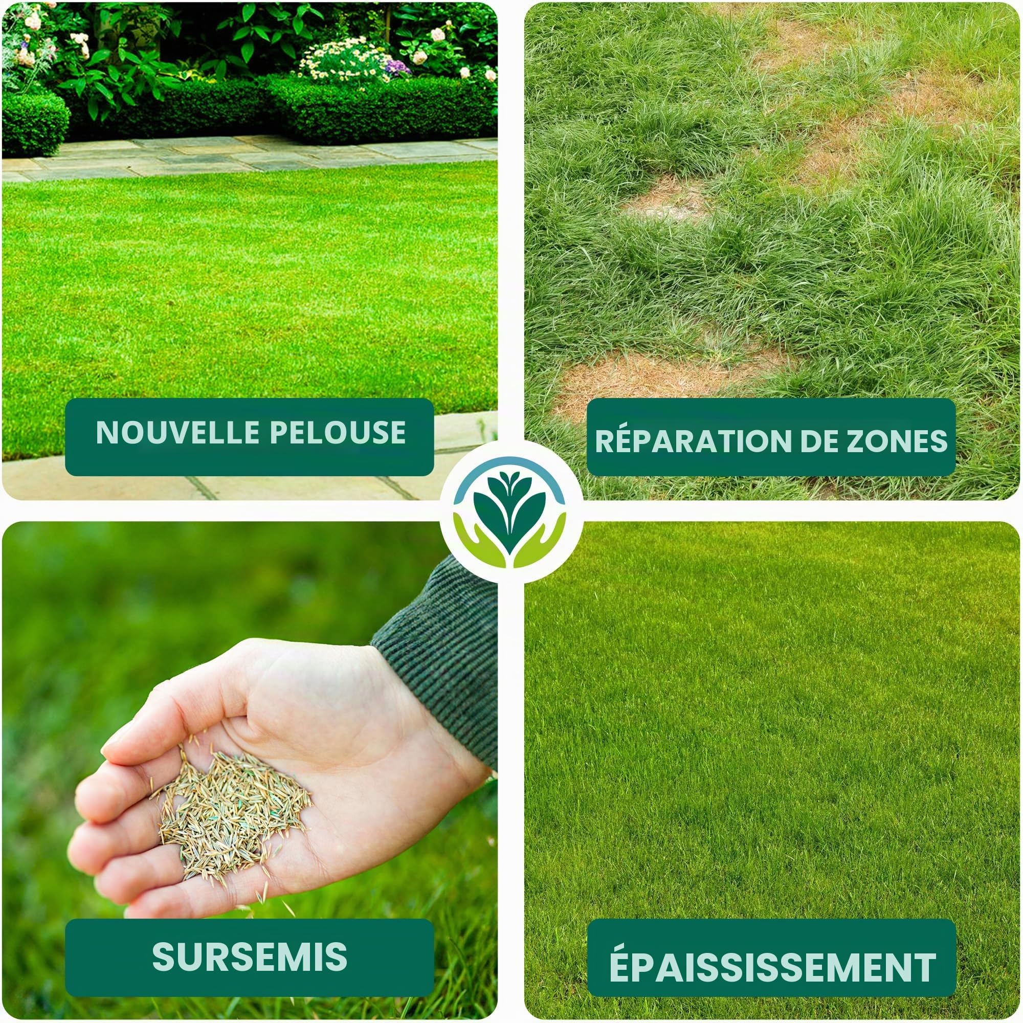 GardenersDream 5KG Semences de Gazon Premium Haute Résistance - Graine Gazon à Croissance Rapide pour Nouvelles Pelouses et Réparation - Couvre jusqu'à 300m² pour Regarnissage