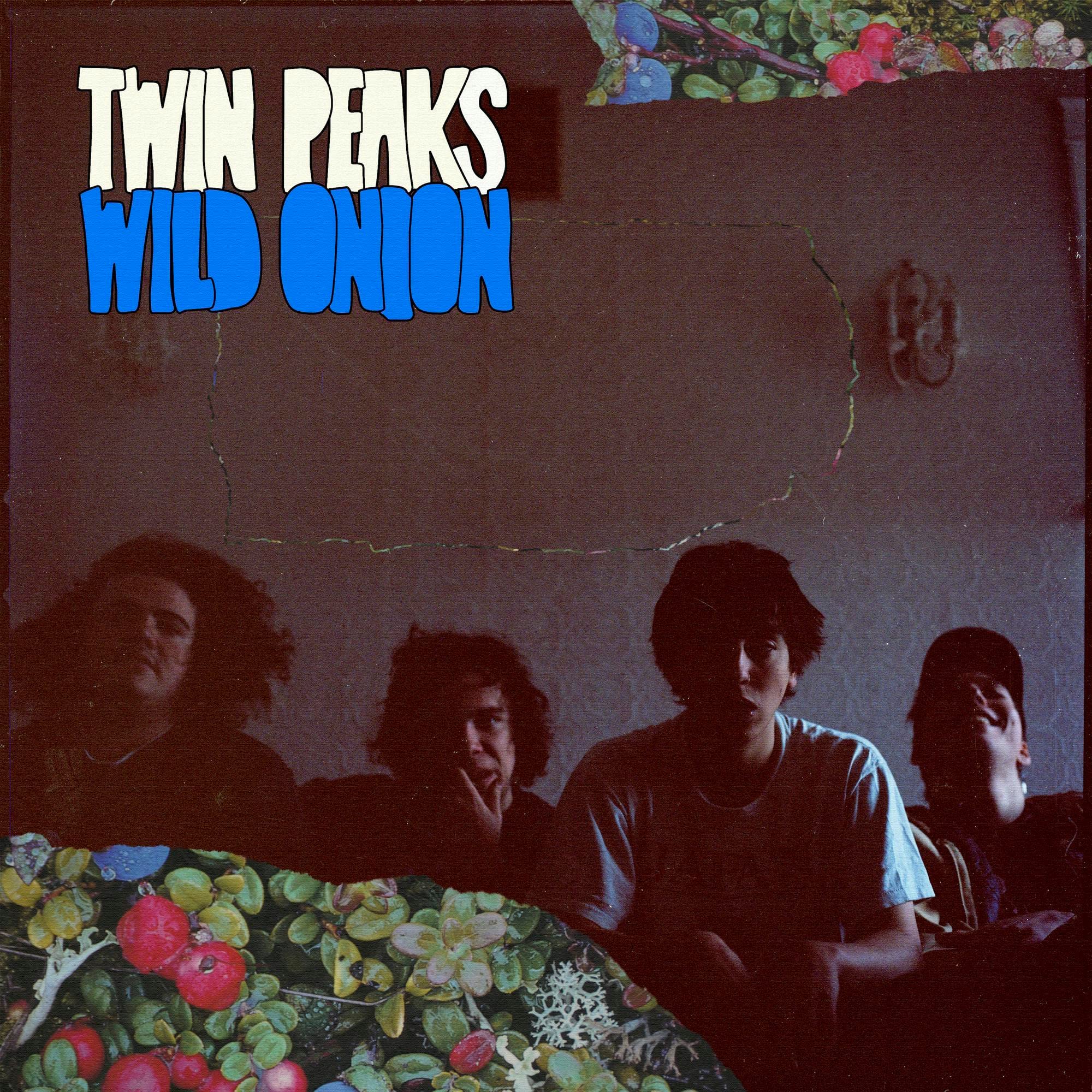 希少 直筆サイン入り LP Twin Peaks - Wild Onion Wild Onion | Amazon.com.br