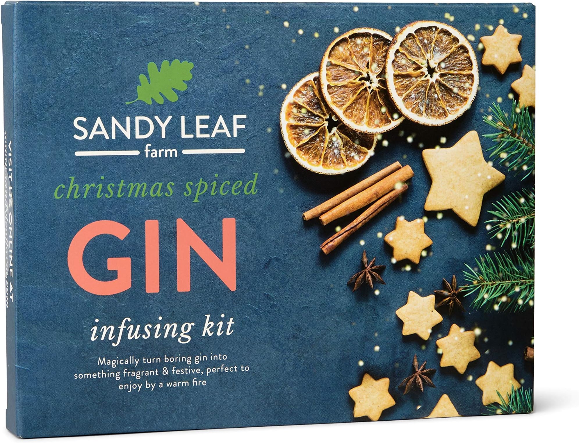 Christmas Spice Gin Infusing Kit - Make your own ginger bread and festive spiced gin in just 24 hours