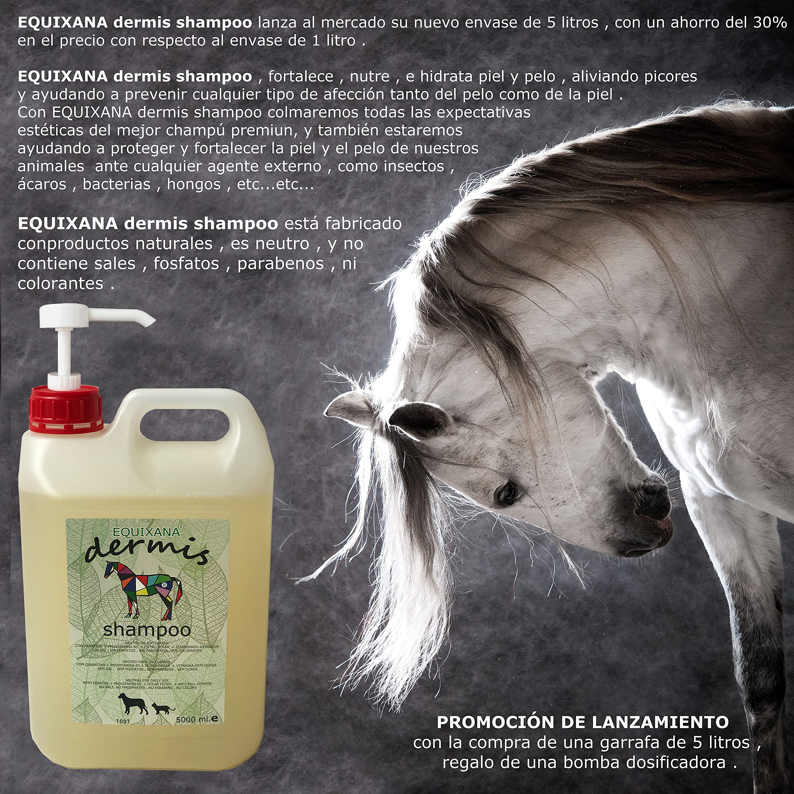 DERMIS SHAMPOO 5.000 ML
