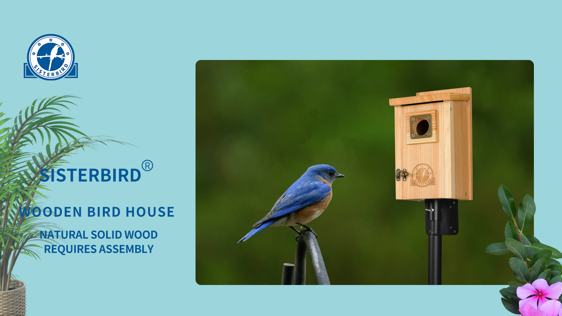 Amazon.com: SISTERBIRD 2 Pack Bird Houses for Outside Clearance