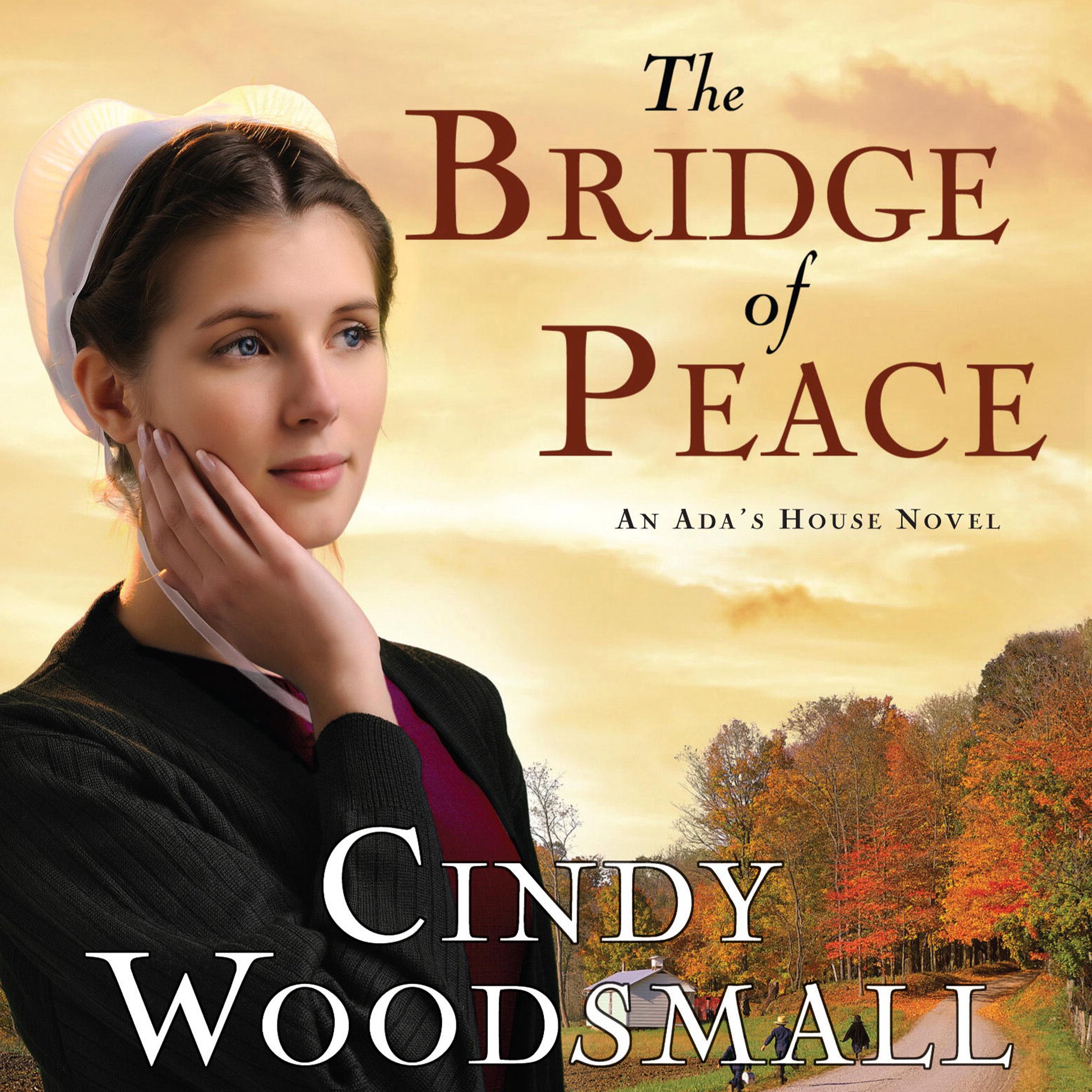 Cover art for The Bridge of Peace