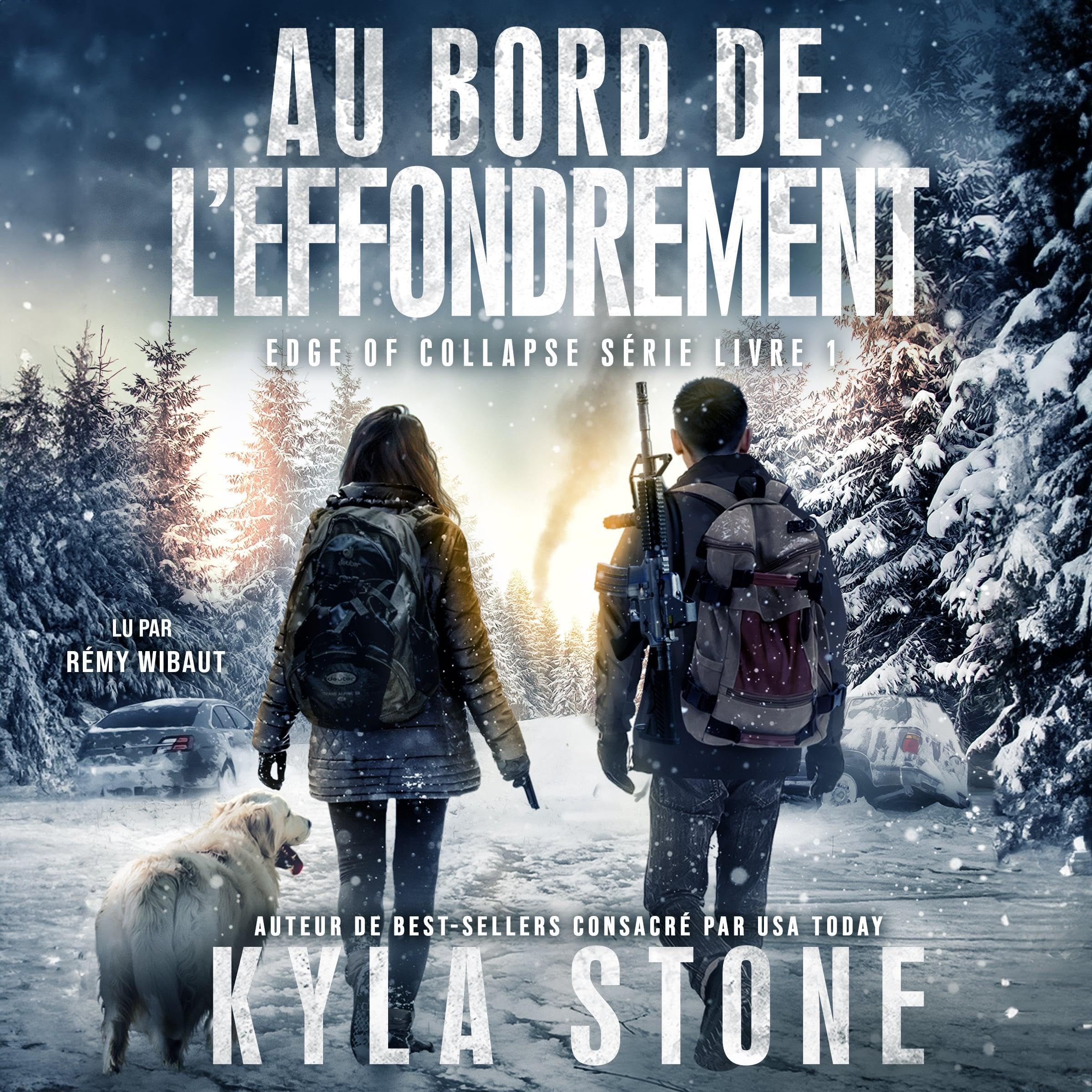 Cover art for Au Bord De L’effondrement [On the Verge of Collapse]