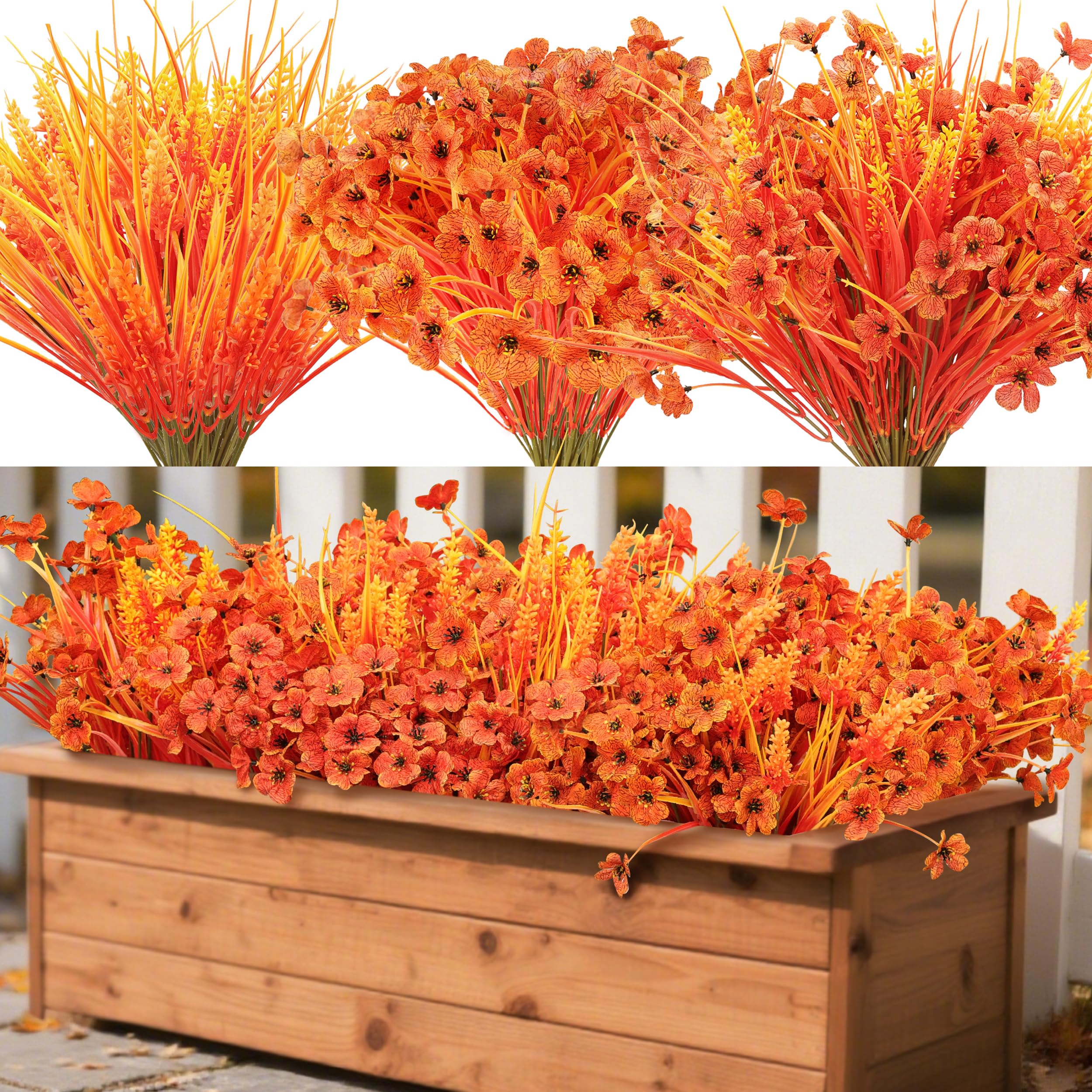 Der Rose 24 Bundles Fall Mums