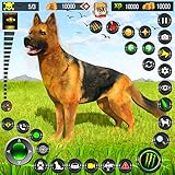 5. Objectives, targeted, tasks based, Racing & stunts missions.