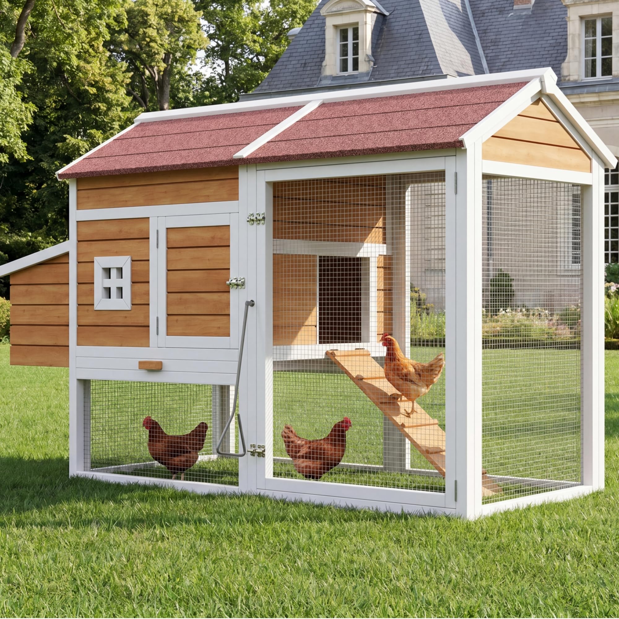 Gallinero de madera de abeto, resistente al invierno, para exteriores, para hasta 4 gallinas, con nido, cajón galvanizado, percha y cierre, 185 x 91 x 115 cm, color madera natural