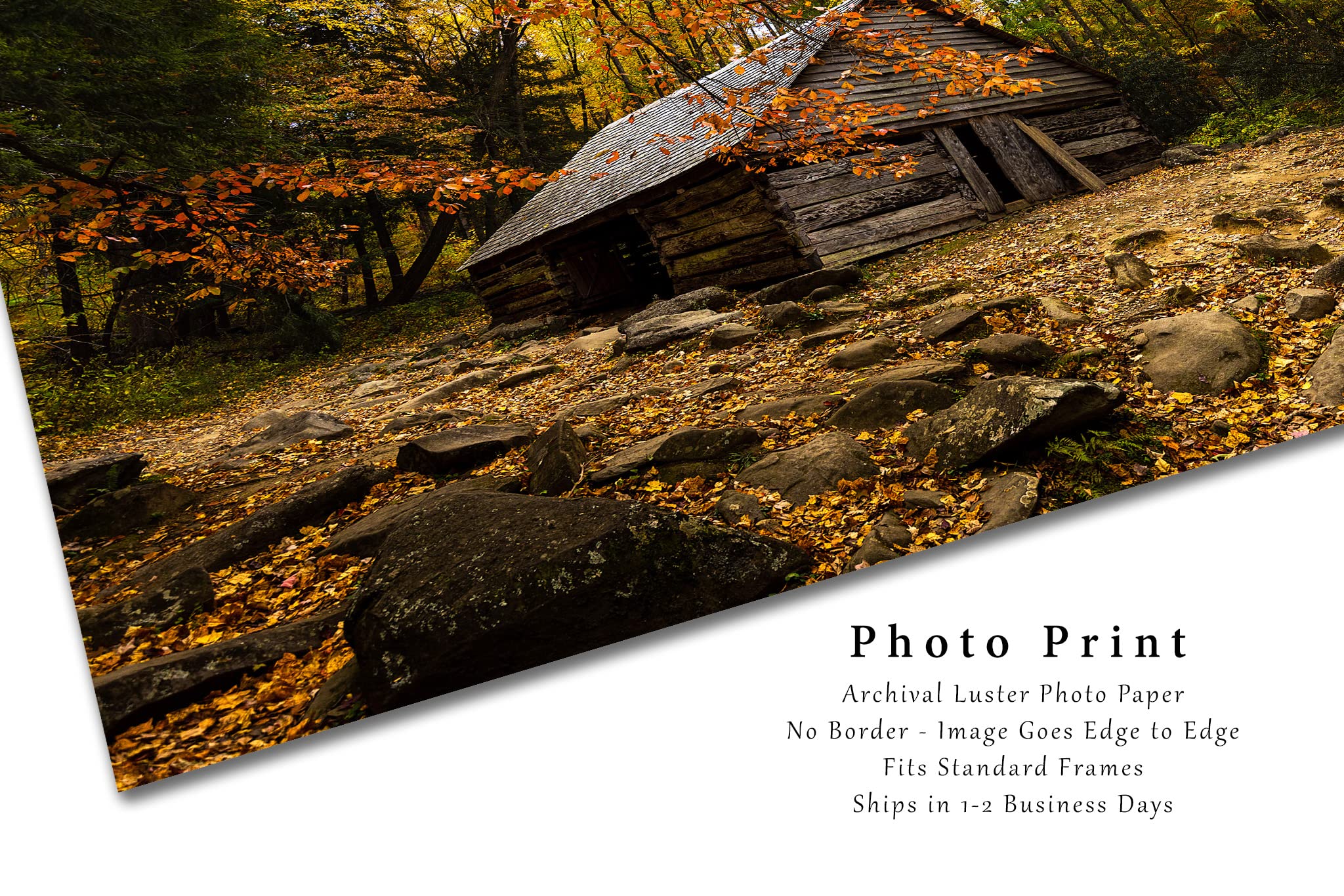 Country Photography Print (Not Framed) Picture of Old Barn Surrounded by Fall Foliage on Autumn Day in Great Smoky Mountains Tennessee Rustic Wall Art Cabin Lodge Decor (30