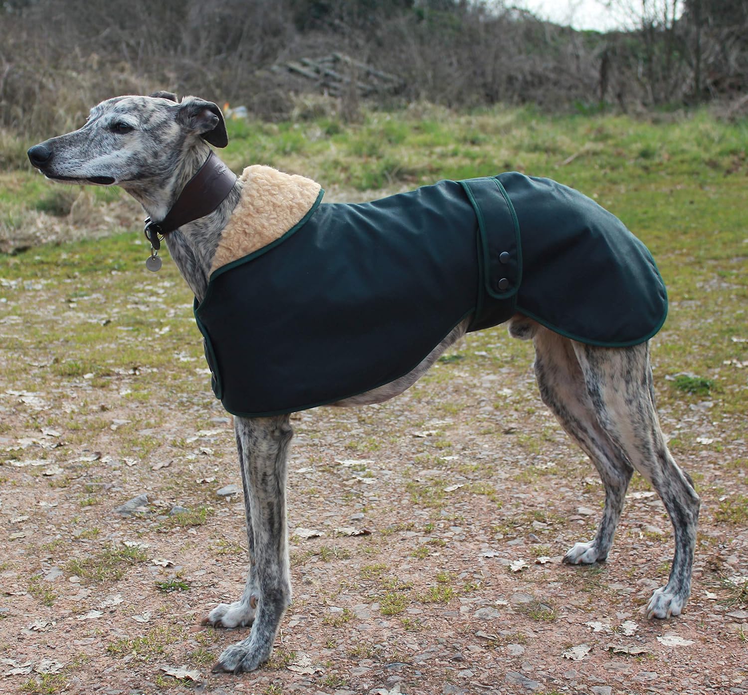 Cosipet greyhound hunter dog coat Clearance