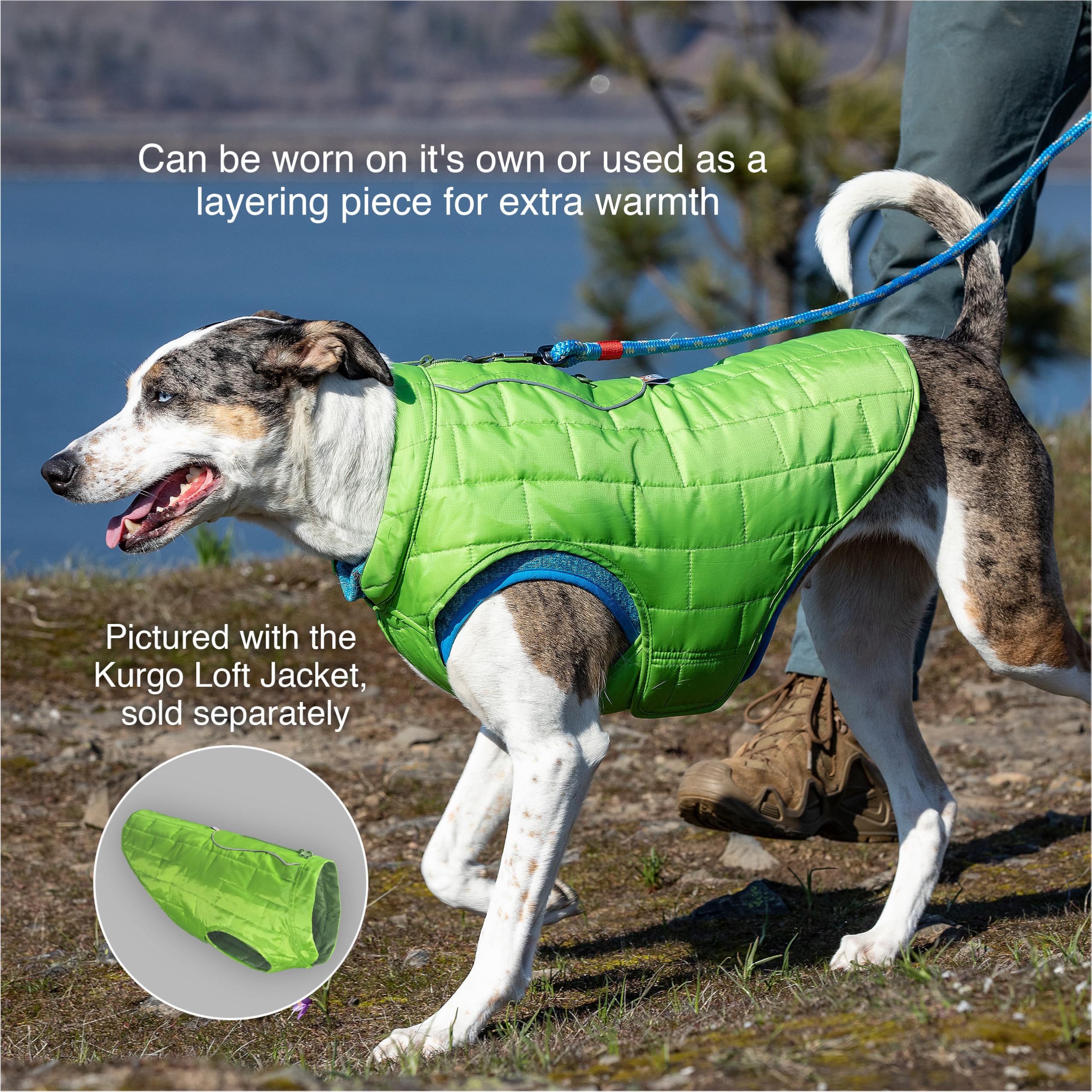 Kurgo Core Hundepullover, gestrickter Hundepullover mit Fleecefutter, Haustierjacke für kaltes Wetter, Reißverschlussöffnung für Geschirr, Verstellbarer Hals, ganzjähriger Pullover für kleine Hunde