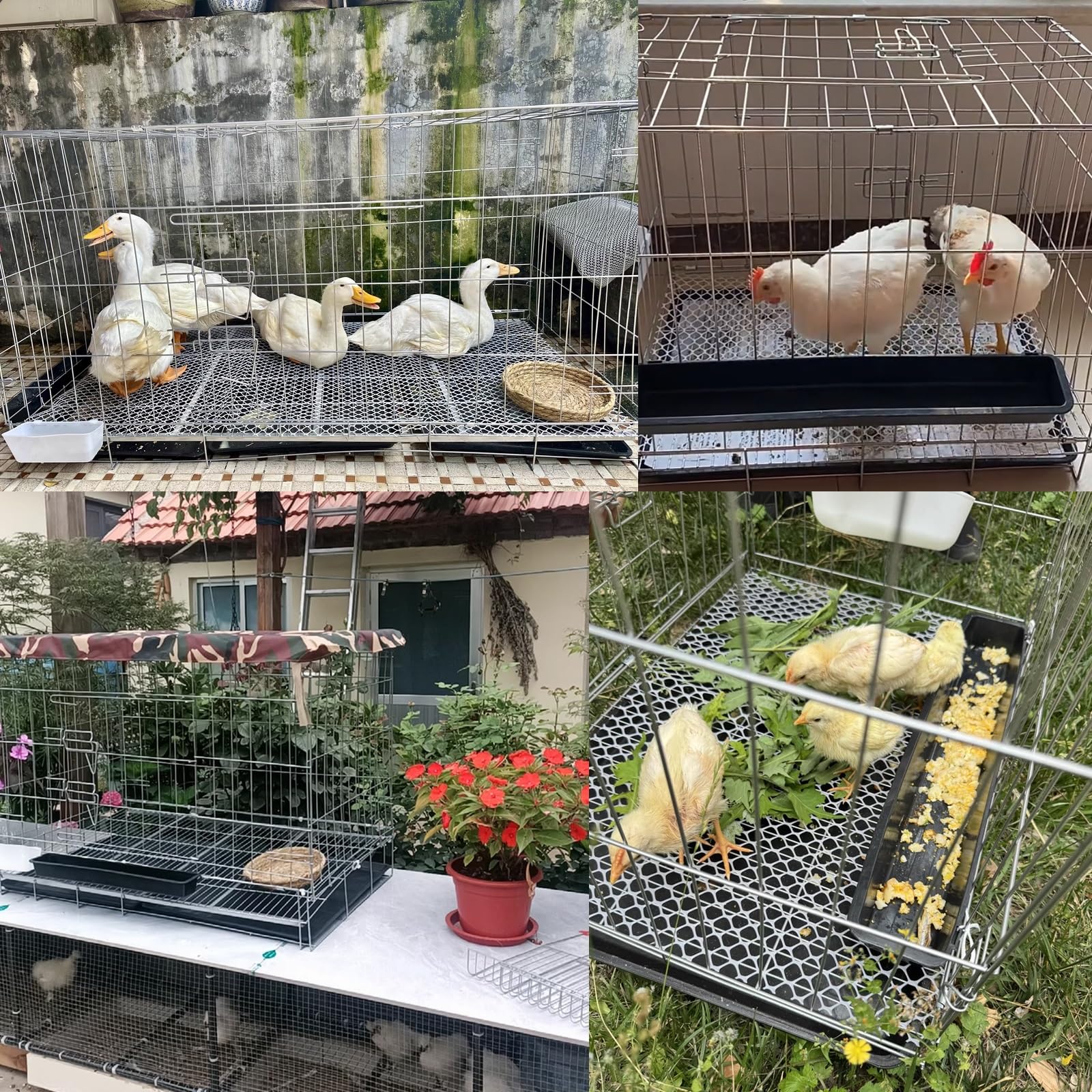Amazon.co.jp: ニワトリ小屋 キット カバー付きで持ち運び可能 卵 Amazon.co.jp: ニワトリ小屋 キット カバー付きで持ち運び可能 卵