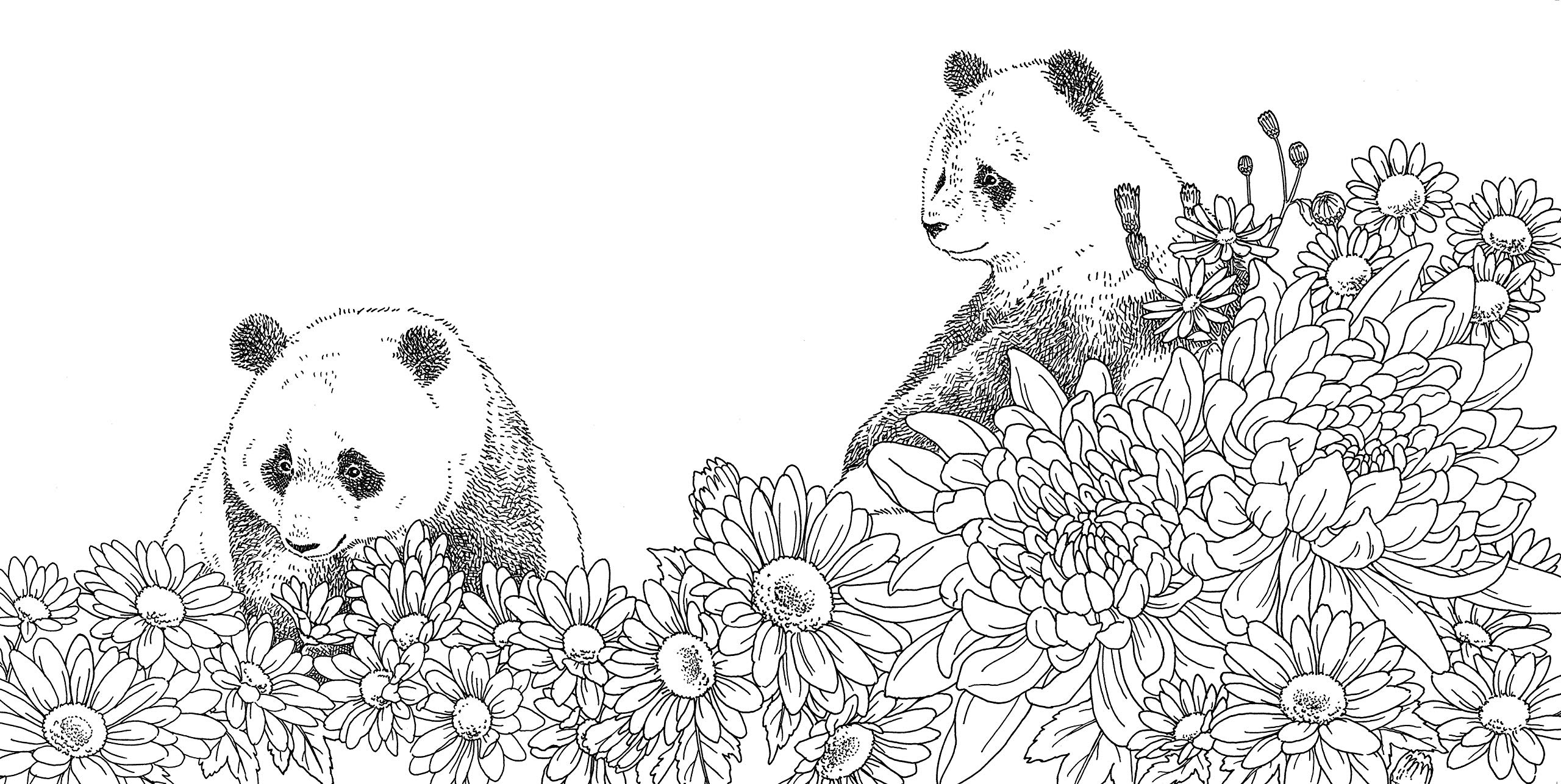 わたしの塗り絵book どうぶつたちからの贈り物ー誕生月の花ー 実用品 しもかわら ゆみ 本 通販 Amazon