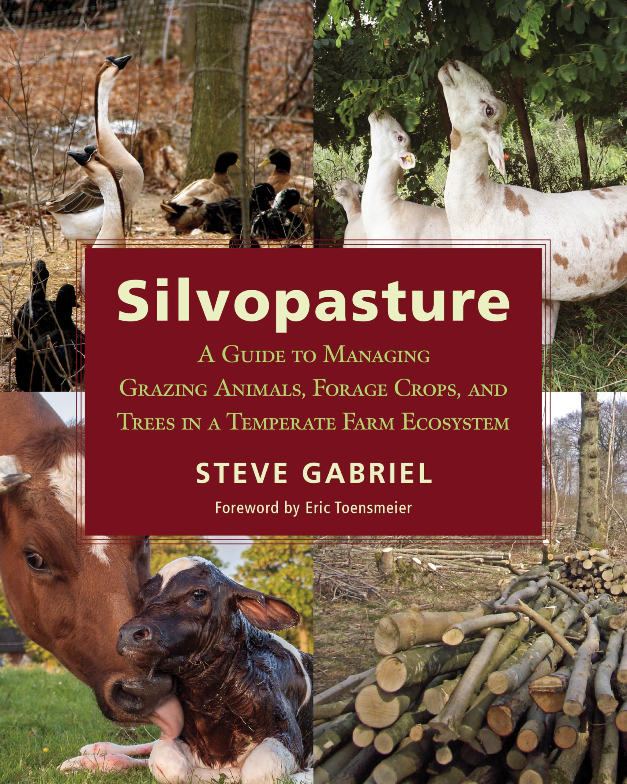 Silvopasture by Steve Gabriel (Paperback Book)