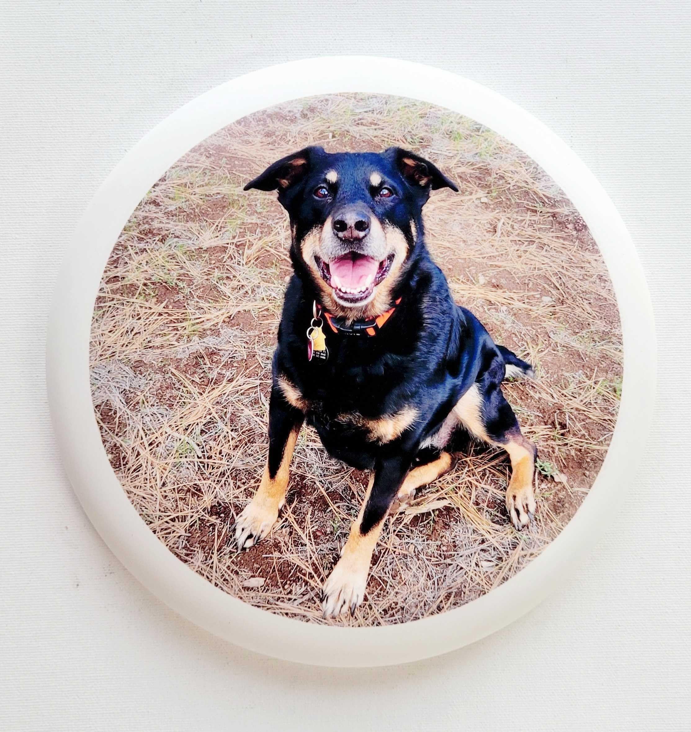 Custom Disc Golf Disc Putter - Add Your own Design