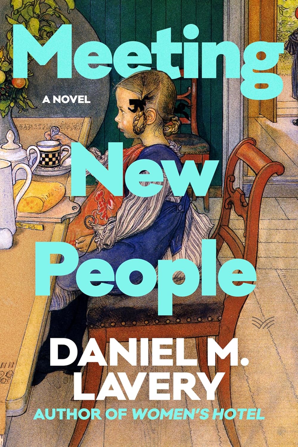 Meeting New People: A Novel      Hardcover – June 2, 2026