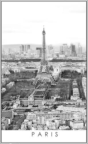 Pintoo Rompecabezas de 1000 piezas para adultos, en blanco y negro, hermoso rompecabezas de plástico para decoración del hogar, cero polvo, fácil